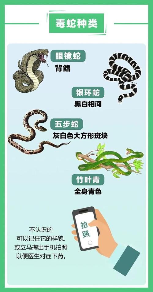 智慧灵气 生态保护（蛇的品种大全108种图片）