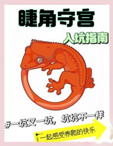 果泥昆虫均衡营养（睫角守宫饲养喂食方法）