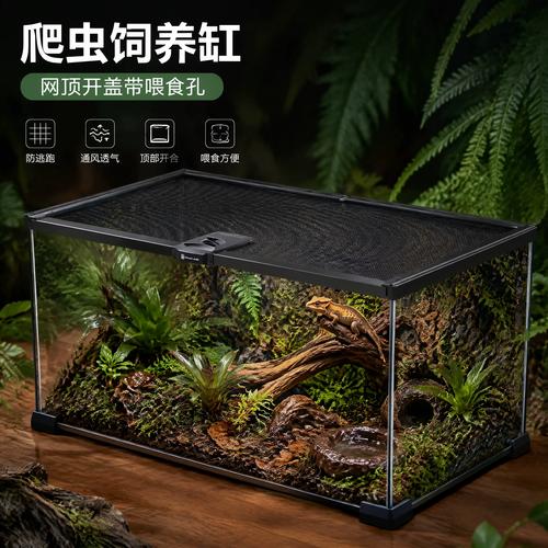 角蛙树蛙混养难?风险高需谨慎!(角蛙和树蛙可以一起养吗) 角蛙树蛙混养难?风险高需谨慎!(角蛙和树蛙可以一起养吗)