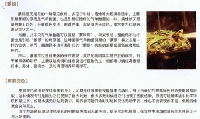 控温保湿防骤降，活食红虫造两栖家（角蛙会被冻死吗）