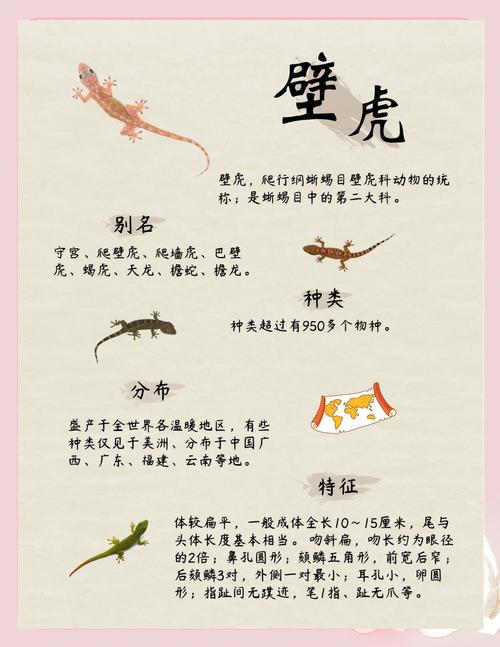 机智热情，事业爱情皆顺利（蜥蜴代表什么生肖）