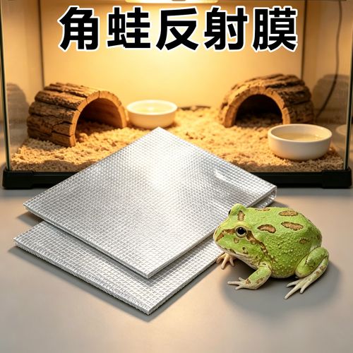 角蛙冬眠不彻底，环境威胁下或需调整策略（角蛙怎么过冬）