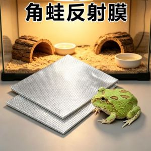 角蛙冬眠不彻底，环境威胁下或需调整策略（角蛙怎么过冬）