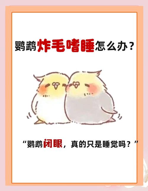 牡丹鹦鹉精神差闭眼炸毛怎么办？（鹦鹉没精神老闭眼还炸毛）