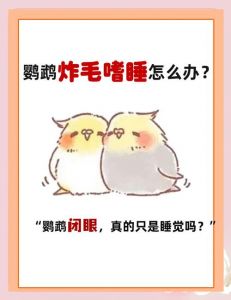 牡丹鹦鹉精神差闭眼炸毛怎么办？（鹦鹉没精神老闭眼还炸毛）