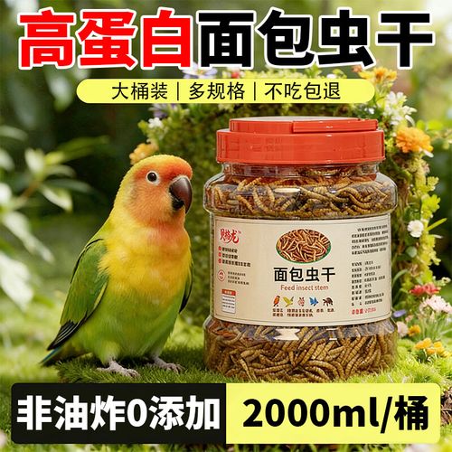 小太阳鹦鹉吃面包虫,补充营养需适量(小太阳鹦鹉吃面包虫吗) 小太阳鹦鹉吃面包虫,补充营养需适量(小太阳鹦鹉吃面包虫吗)