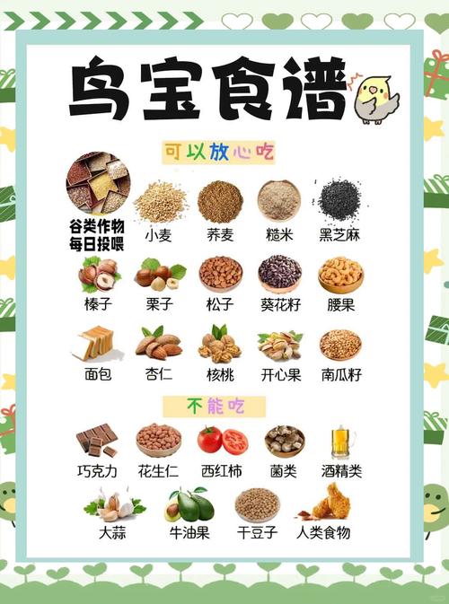 喂鹦鹉10样好食物,别只吃种子!(鹦鹉最爱吃的10种食物) 喂鹦鹉10样好食物,别只吃种子!(鹦鹉最爱吃的10种食物)