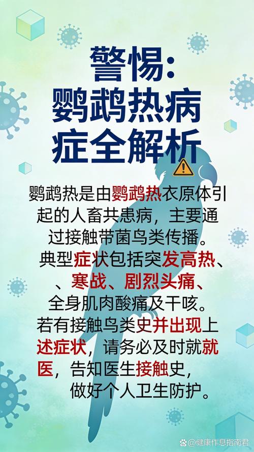 养鹦鹉小心鹦鹉热，注意卫生防感冒！（家养鹦鹉容易得鹦鹉热）