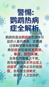 养鹦鹉小心鹦鹉热，注意卫生防感冒！（家养鹦鹉容易得鹦鹉热）
