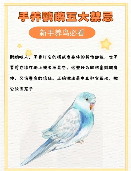 看似可爱实则凶猛？饲养挑战多（为什么不建议养小太阳鹦鹉的原因）