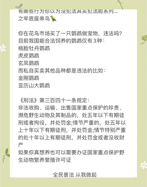 养鹦鹉好处多坏处多,是否适合你?(养鹦鹉的利与弊看完你还敢养吗) 养鹦鹉好处多坏处多,是否适合你?(养鹦鹉的利与弊看完你还敢养吗)