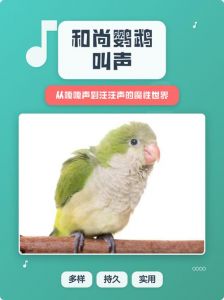 成年和尚鹦鹉也能学说话（成年和尚鹦鹉还可以训练说话）