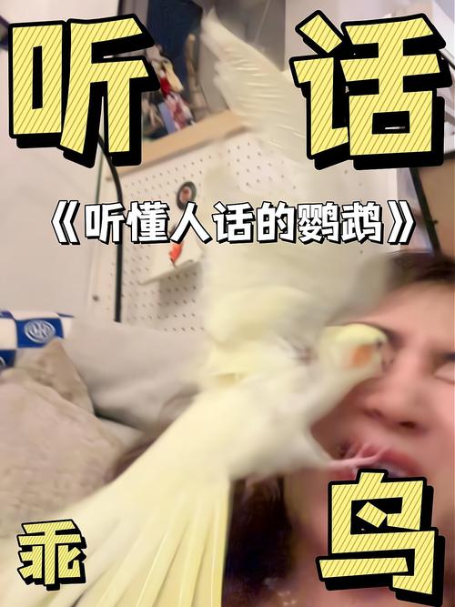 鹦鹉学话像社交,不懂意思会模仿(鹦鹉听懂人话吗) 鹦鹉学话像社交,不懂意思会模仿(鹦鹉听懂人话吗)