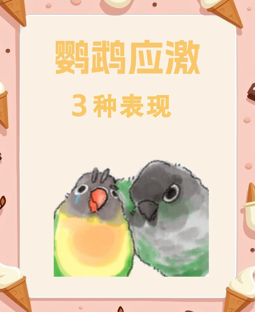 惊吓会致命！小心吓到你的鹦鹉（鹦鹉应激反应几天会死亡）