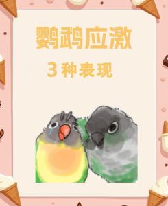 惊吓会致命！小心吓到你的鹦鹉（鹦鹉应激反应几天会死亡）