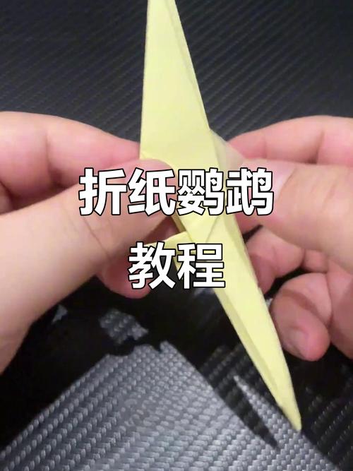 手把手教你折鹦鹉(鹦鹉手工折纸步骤图片) 手把手教你折鹦鹉(鹦鹉手工折纸步骤图片)