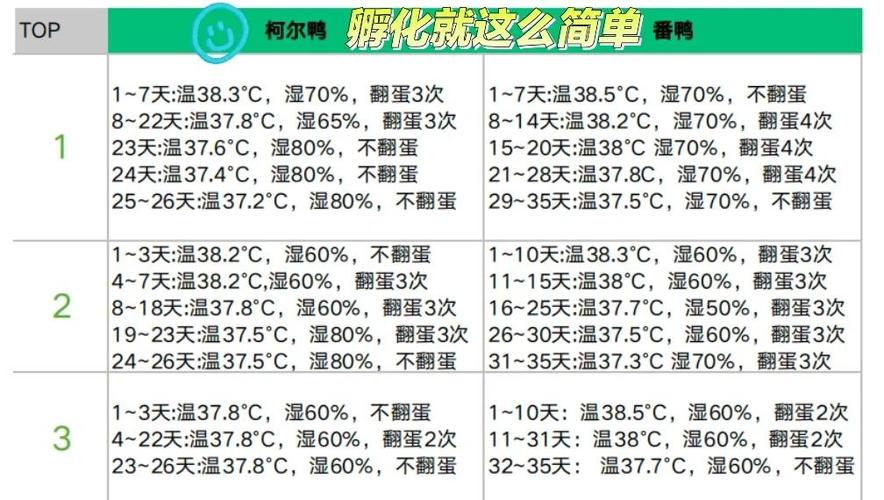 精准控温湿度,科学孵化鹦鹉蛋(鹦鹉蛋孵化器怎么孵化的温度和湿度) 精准控温湿度,科学孵化鹦鹉蛋(鹦鹉蛋孵化器怎么孵化的温度和湿度)
