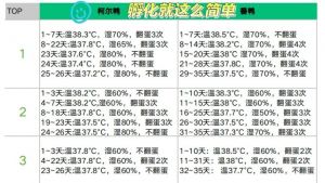 精准控温湿度，科学孵化鹦鹉蛋（鹦鹉蛋孵化器怎么孵化的温度和湿度）