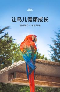 欧德尔凯克鹦鹉和尚鹦鹉带壳饲料，提高食欲，玄凤挑食试试欧德尔（欧德尔凯克鹦鹉和尚鹦鹉带壳饲料）