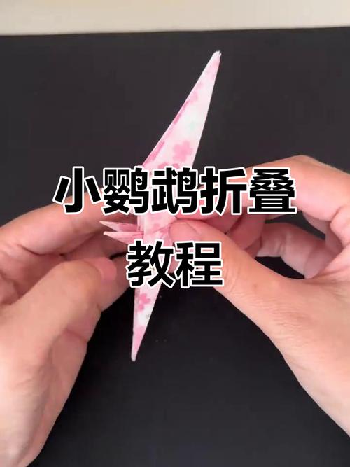 手把手教你折鹦鹉(鹦鹉手工折纸步骤图片) 手把手教你折鹦鹉(鹦鹉手工折纸步骤图片)