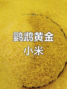 鹦鹉营养蛋小米做法，人工孵化技巧（鹦鹉吃的蛋小米制作方法）