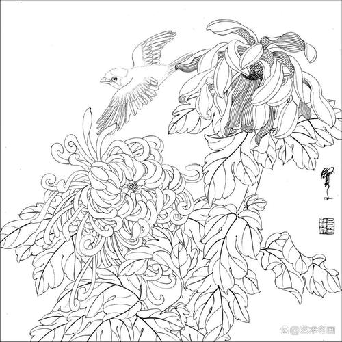 线条勾勒自然之美(白描工笔花鸟画图片大全) 线条勾勒自然之美(白描工笔花鸟画图片大全)