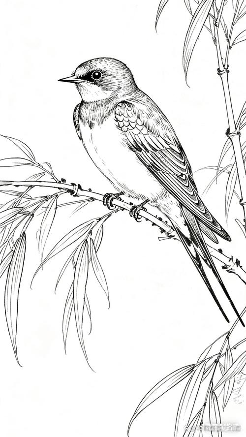 工笔花鸟高清白描,细腻自然之美(工笔花鸟白描高清大图) 工笔花鸟高清白描,细腻自然之美(工笔花鸟白描高清大图)
