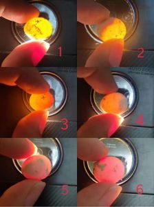 鹦鹉孵蛋要多久？（鹦鹉的孵蛋要整天孵的吗）