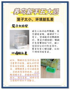 六条财运好，鱼缸有讲究（血鹦鹉为什么不建议养）