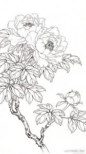 工笔花鸟高清白描，细腻自然之美（工笔花鸟白描高清大图）