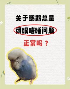 鹦鹉闭眼站不起？快查原因！（鹦鹉没有精神老是闭眼站不起来了）