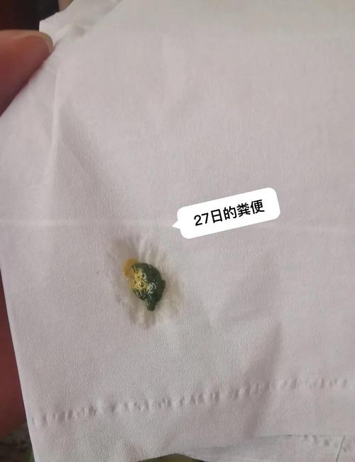 鹦鹉粪便颗粒状?看健康!(鹦鹉不消化拉出来的还有颗粒) 鹦鹉粪便颗粒状?看健康!(鹦鹉不消化拉出来的还有颗粒)