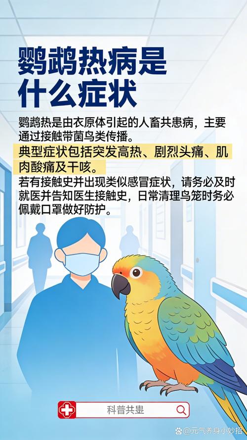 预防感染关键！（人得了鹦鹉热会传染他人吗）