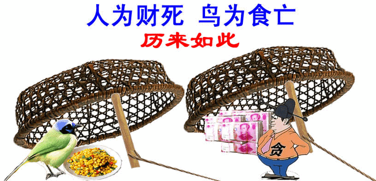 贪婪害人,财富需有度(人为财死鸟为食亡告诉我们什么道理) 贪婪害人,财富需有度(人为财死鸟为食亡告诉我们什么道理)