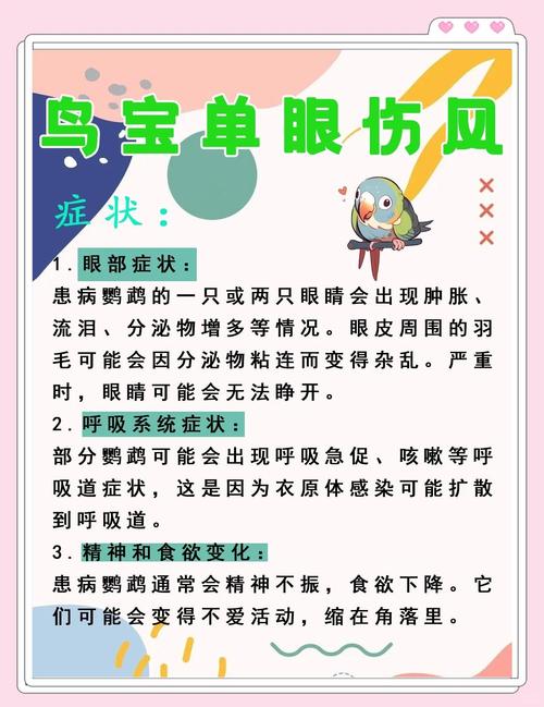 注意卫生,科学养鸟不用慌(鹦鹉单眼伤风肯定会传染吗) 注意卫生,科学养鸟不用慌(鹦鹉单眼伤风肯定会传染吗)