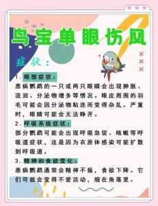 注意卫生，科学养鸟不用慌（鹦鹉单眼伤风肯定会传染吗）