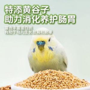 喂鹦鹉带壳小米好处多，搭配食物营养均衡（鹦鹉吃带壳的小米好还是不带壳的好）