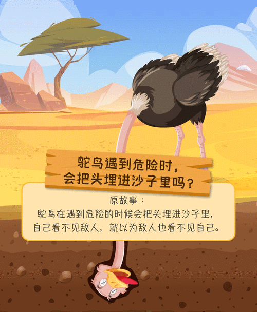 鸵鸟低头不是怕,是吃沙或孵蛋(为什么鸵鸟喜欢把头埋在沙子里) 鸵鸟低头不是怕,是吃沙或孵蛋(为什么鸵鸟喜欢把头埋在沙子里)