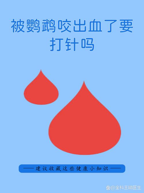 鹦鹉咬伤出血需打针吗?看伤口情况!(被家里的鹦鹉咬出血了要打针吗) 鹦鹉咬伤出血需打针吗?看伤口情况!(被家里的鹦鹉咬出血了要打针吗)